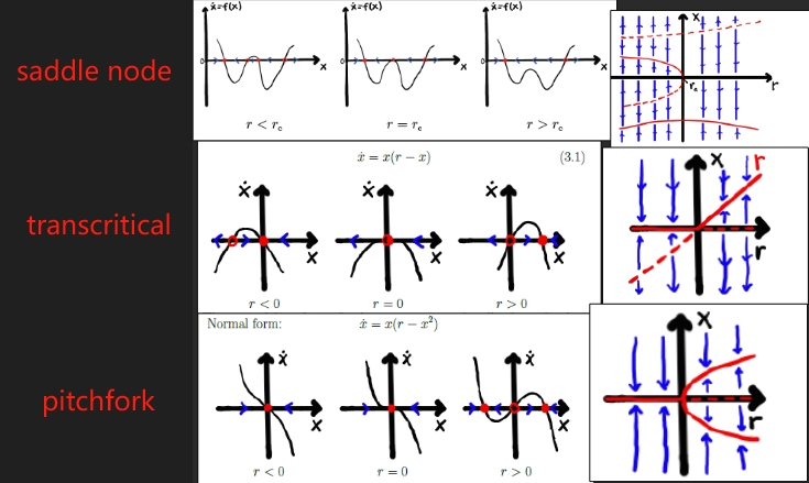 Alt text describing the image